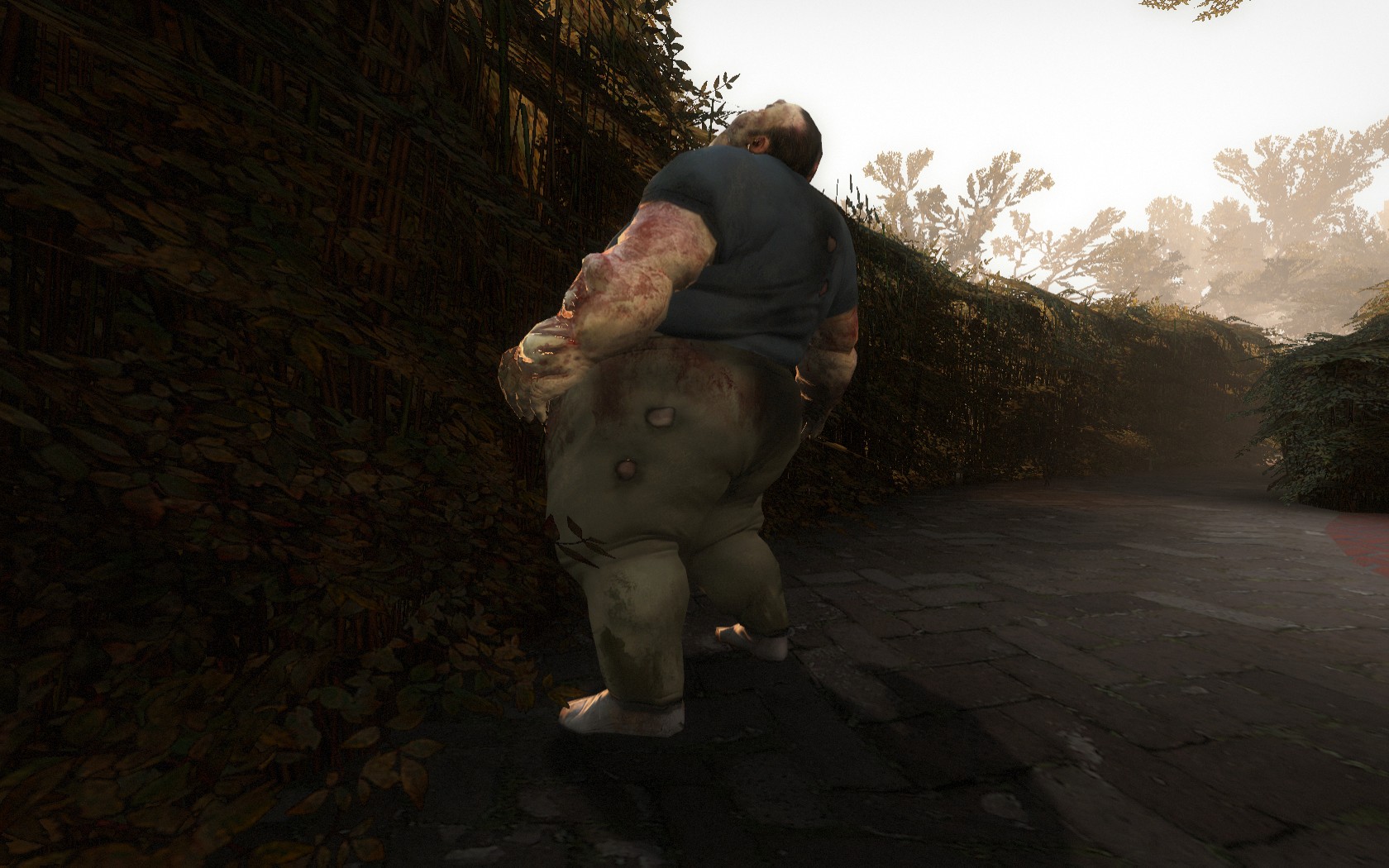 Картинки охотник из left 4 dead